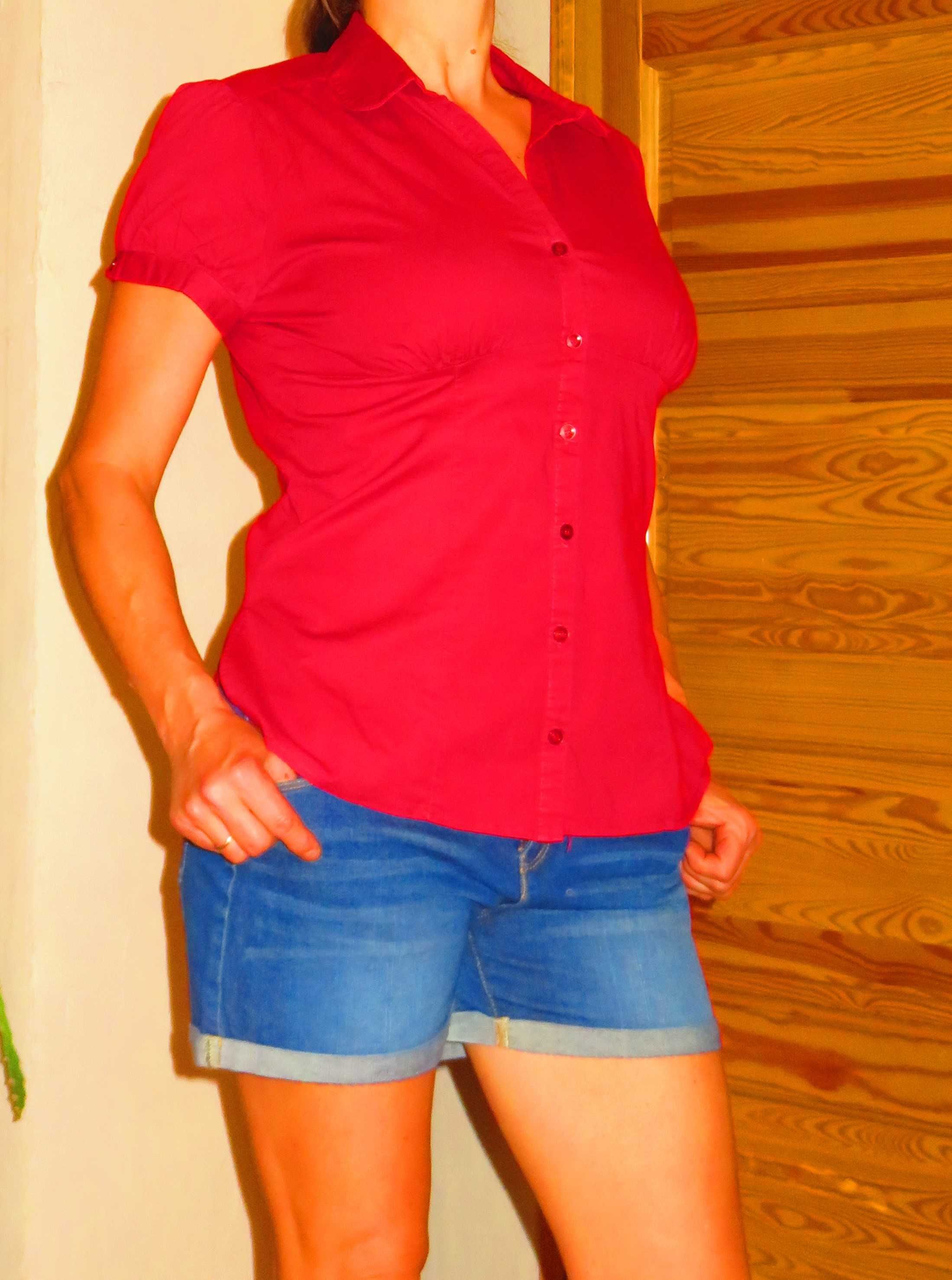 Bordowa bluzka Dorothy Perkins / rozmiar 42