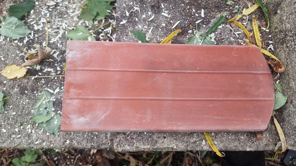 Dachówka karpiówka