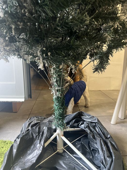 Arvore de Natal da loja Homa 2,10m.