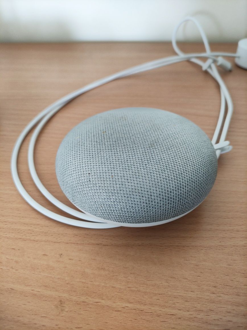 Google nest home mini