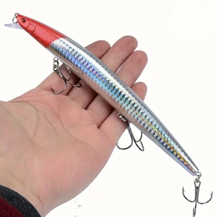 Amostras pesca robalo