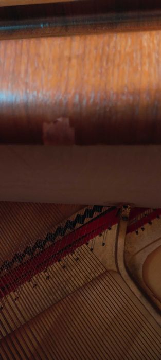 Pianino Lindbergh (Calisia Menuet M-105