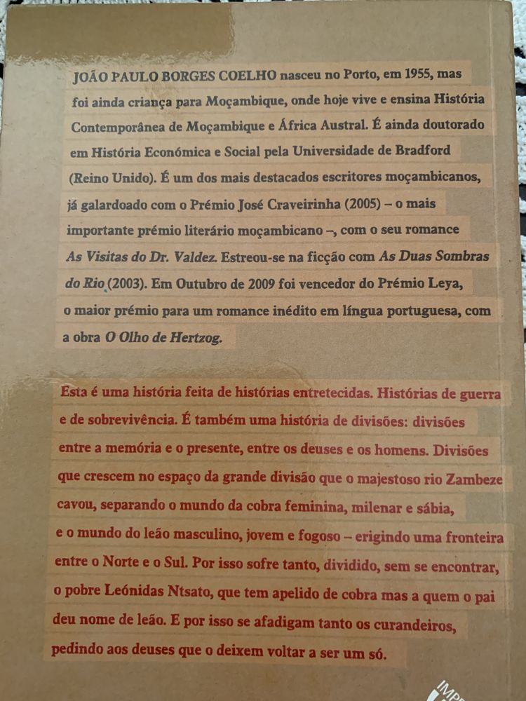 Livro As Duas Sombras do Rio