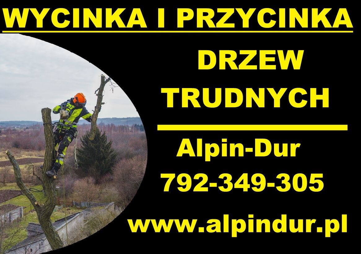 Wynika i przycinka drzew trudnych