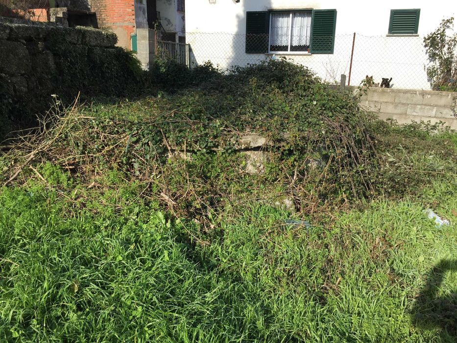 Terreno urbano 2050 m2