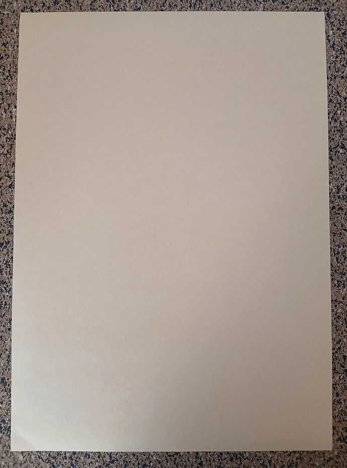 Poster - Cowboy Bebop: Spike Spiegel (papel kraft 30x42 cm)