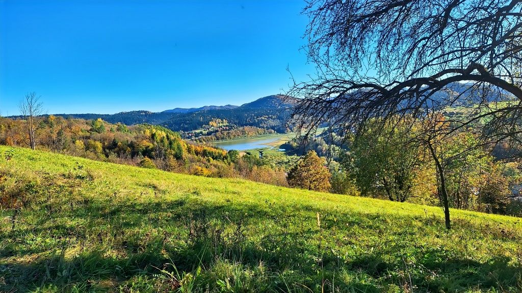 WOLNY DOMEK 2-5 os.Bieszczady Wołkowyja Jezioro Solińskie Solina