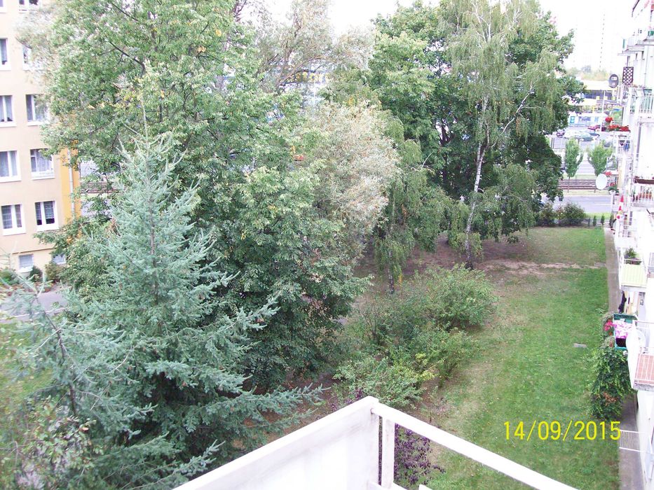 Sprzedam mieszkanie 38 m2 na Winogradach, 3 p. w niskim bloku