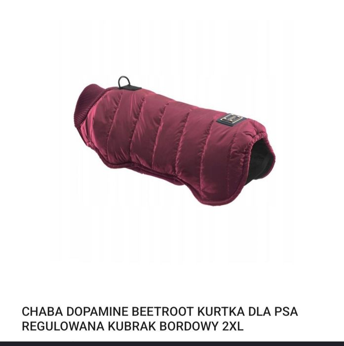 Kubraczek dla psa