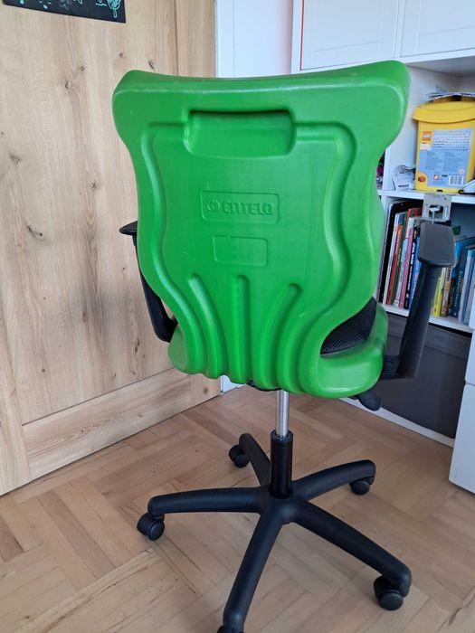 Ergonomiczne krzesło Entelo Twist z podłokietnikami