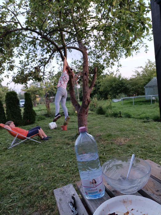 Sprzedam działkę ROD