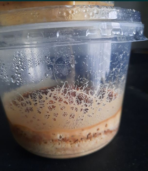 Pokarm dla narybku Nicienie Mikro