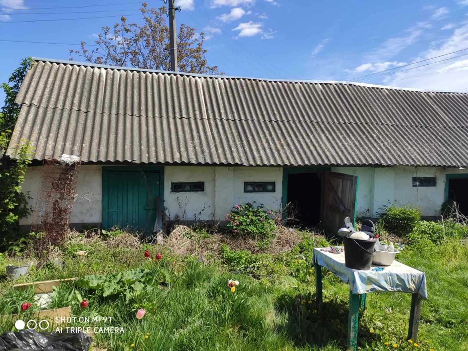 Будинок Дом Дача на річці Снов с.  Макишин  Телефонуйте!