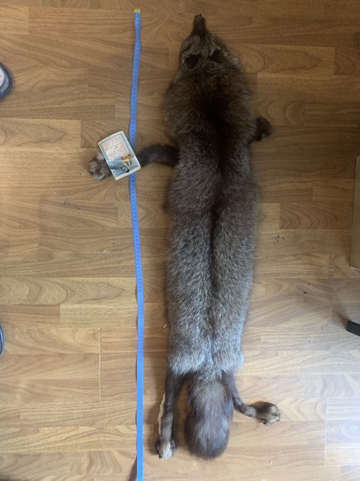 Чернобурка ! Оригинал