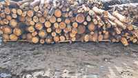 Drewno kominkowe i opalowe