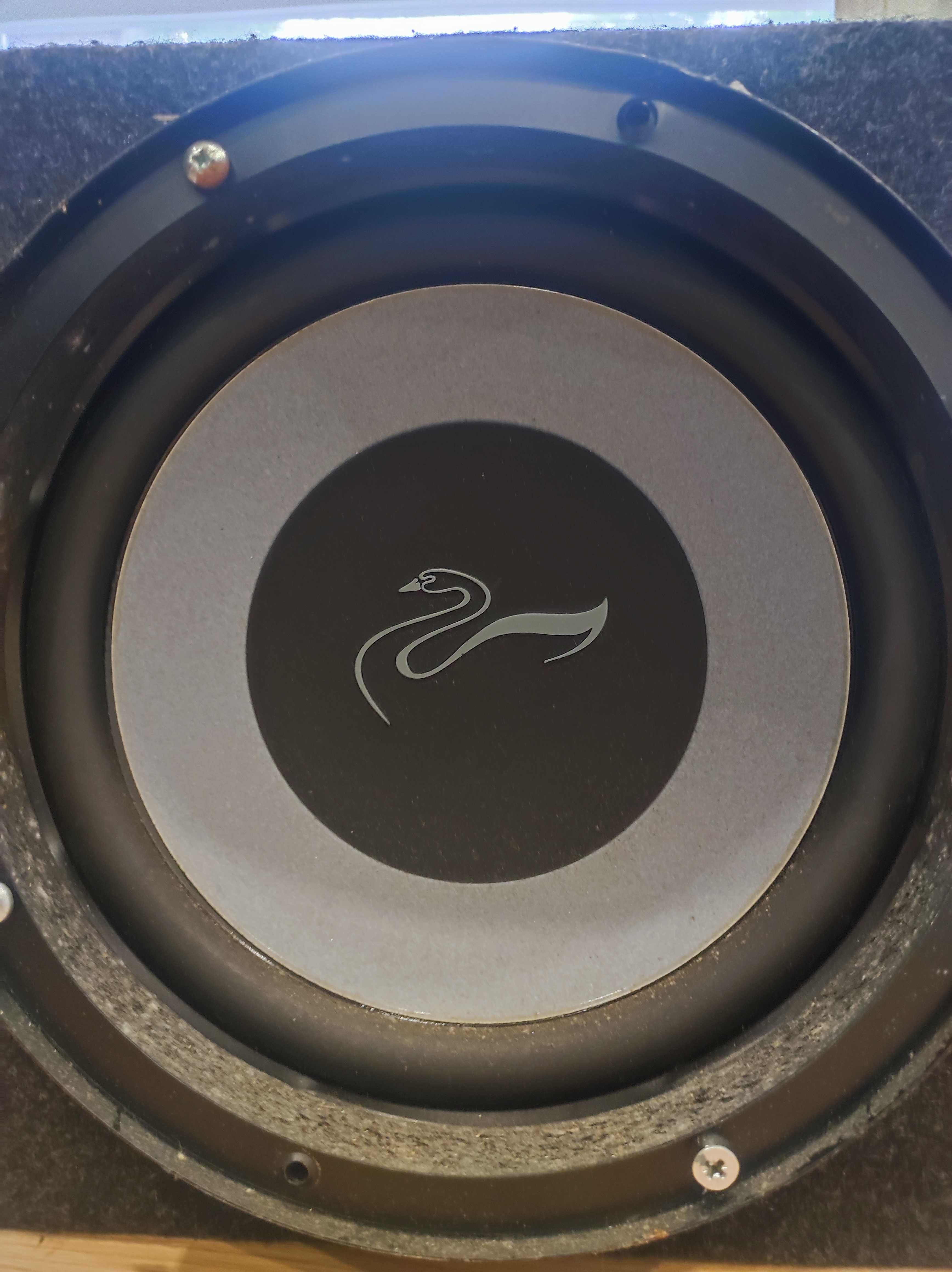 Subwoofer Swans CS100B 200W RMS 25cm skrzynia