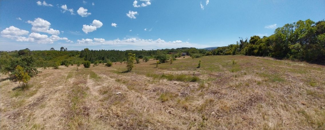 Terreno em Alcobaça