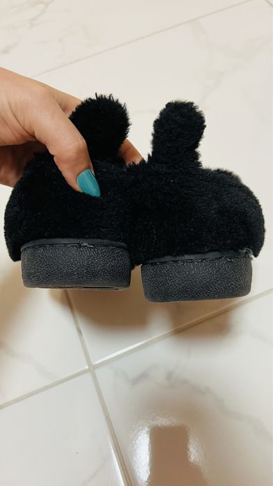 Тарочки кімнатні 19см