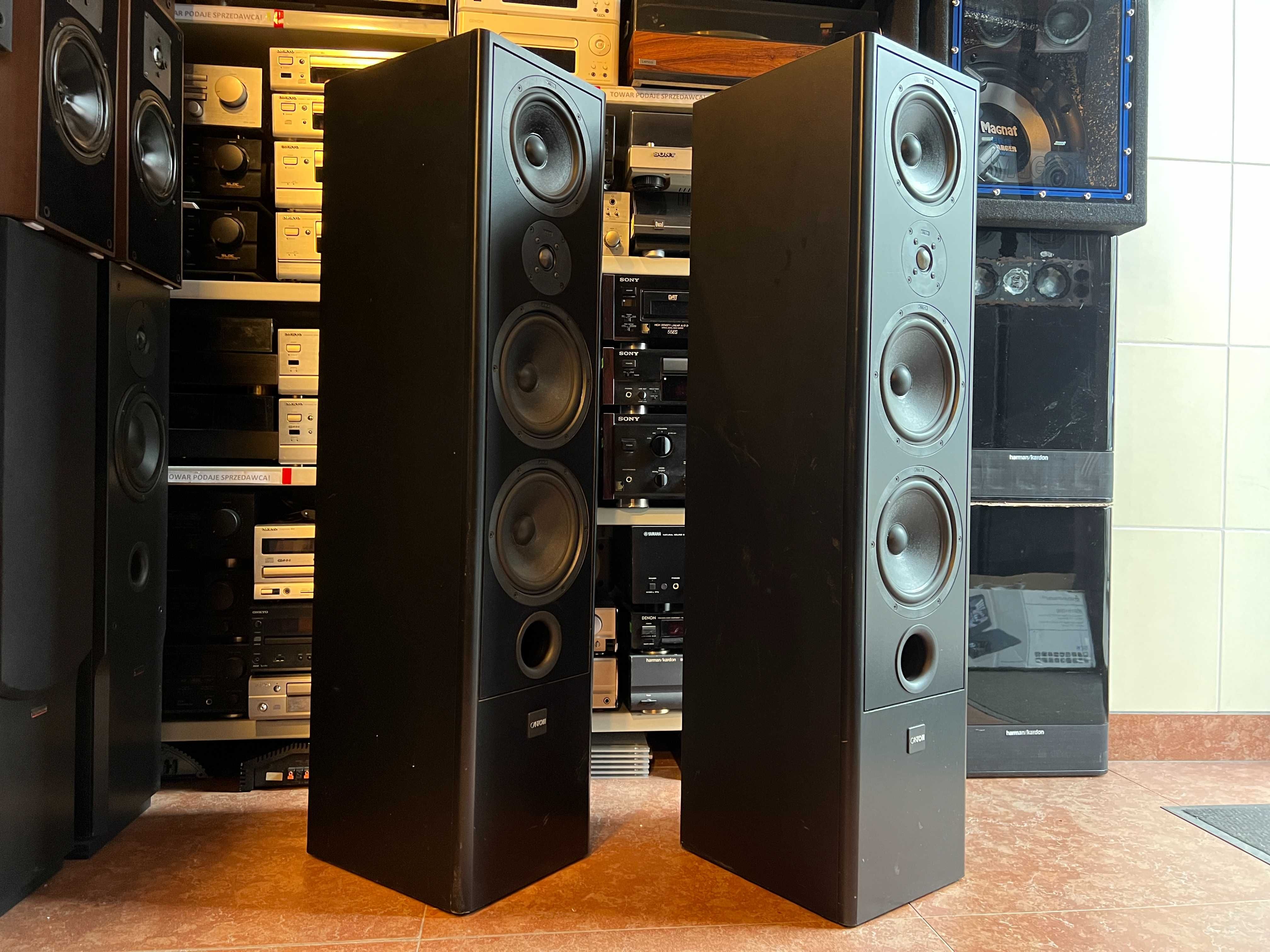Kolumny podłogowe Canton Fonum 802 DC Audio Room