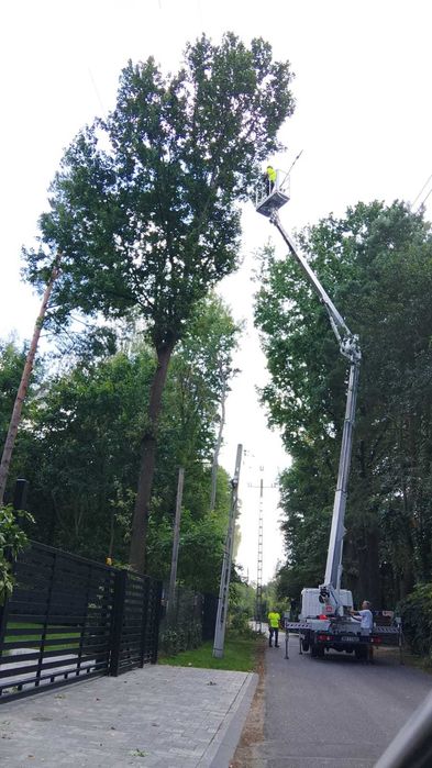 Wycinka Drzew I Pielęgnacja Zieleni I Usługi Rębakiem I Frezowanie Pni