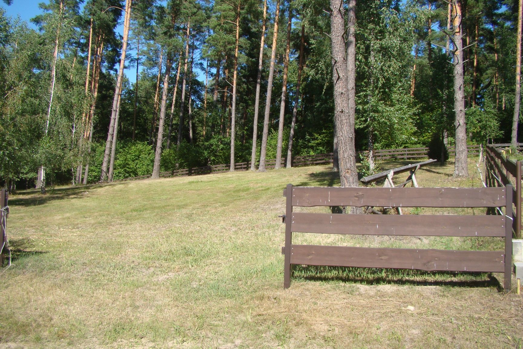 Działka budowlana 1238 m² w sercu natury – Purda | 400 m od jeziora