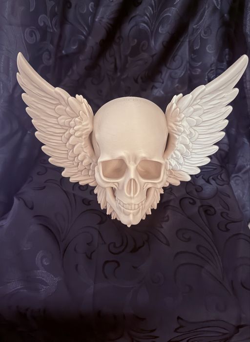 Caveira com asas/ Skull