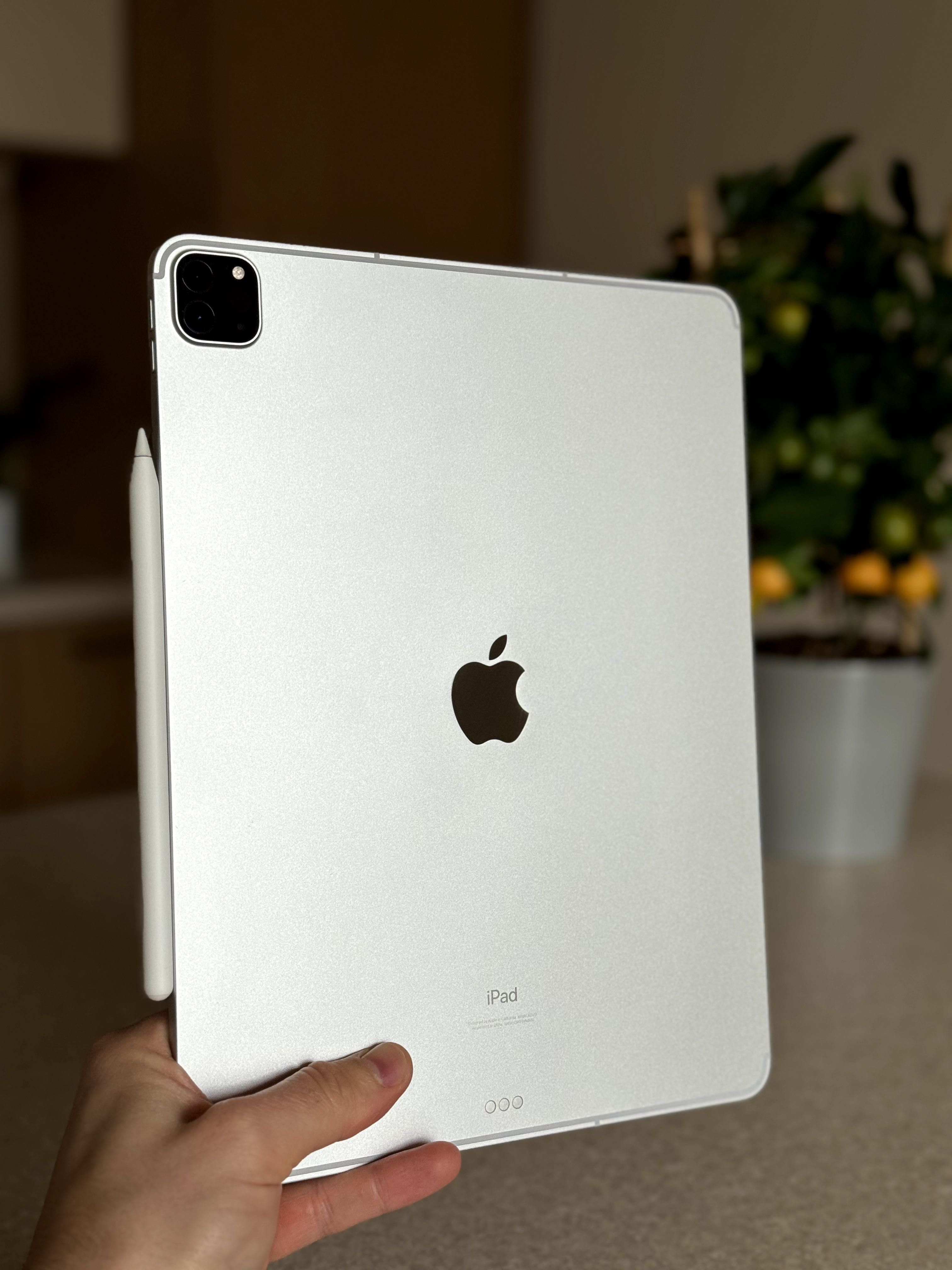 Apple iPad Pro 12.9 6gen M2