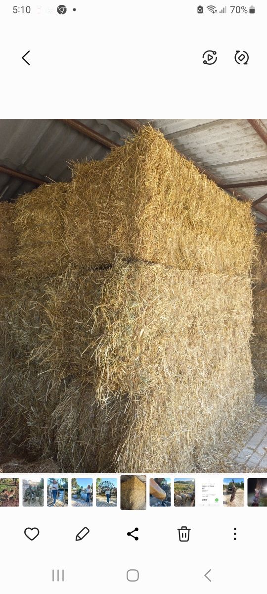 Alimentos animal, feno