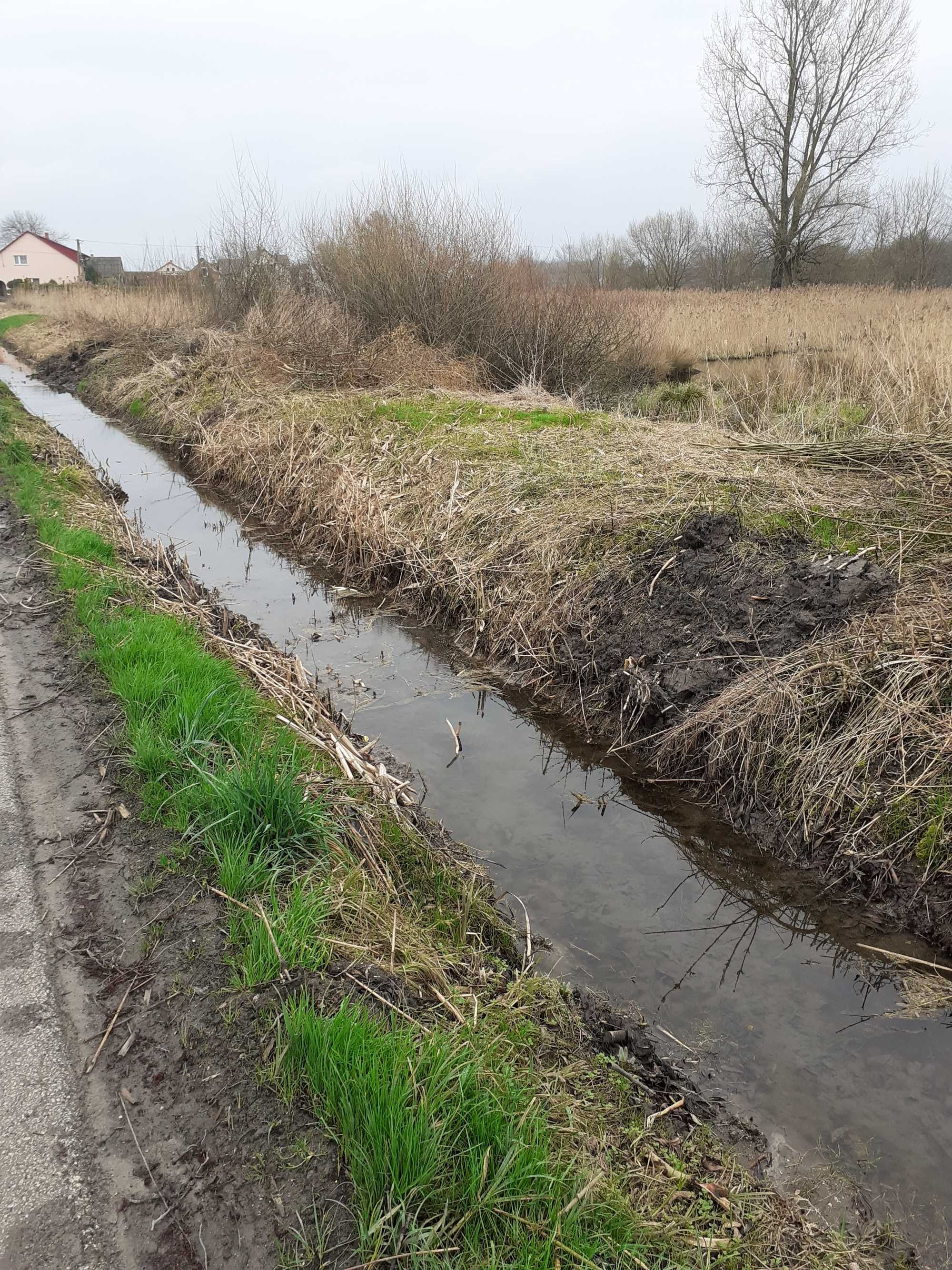 Sprzedam siedlisko 1,5 ha do rekultywacji