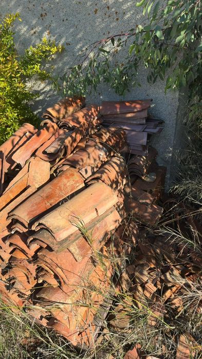 Lote de Telhas Alentejanas