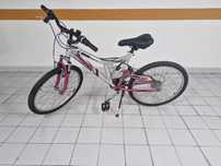 Bicicleta L-Power Wheel Worx - Roda 24''