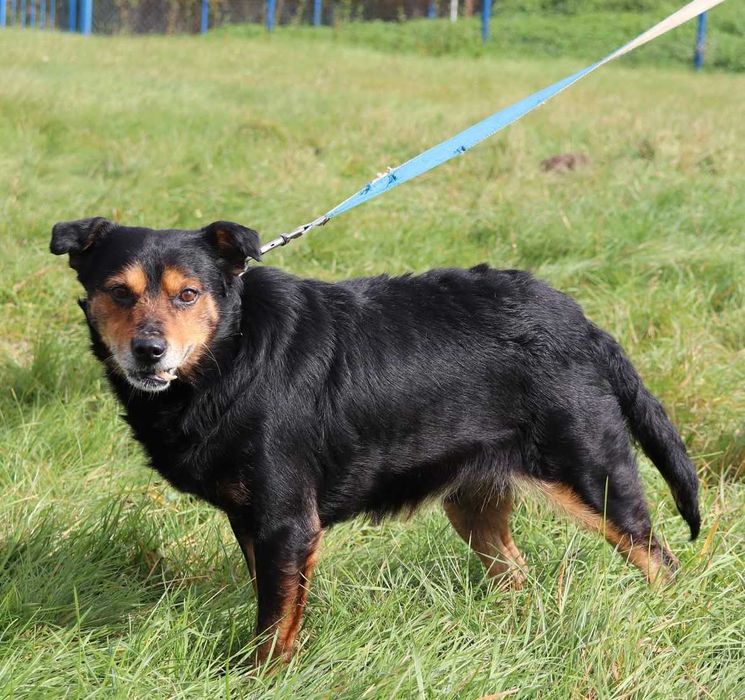 Atom – kochany senior pełen radości