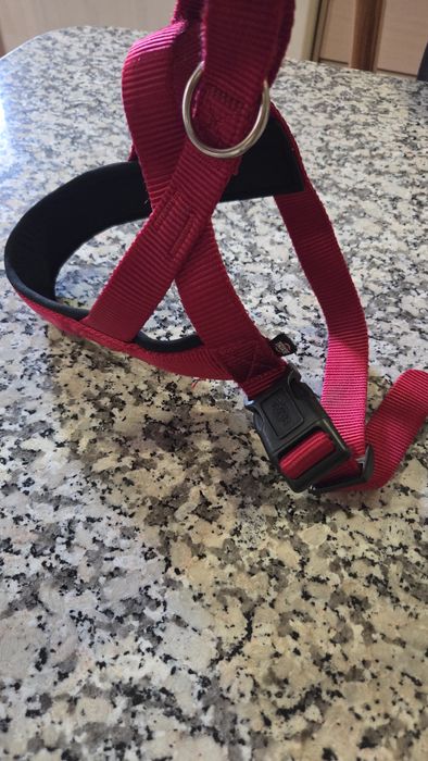 Peitoral Almofadado para Cão Tamanho M