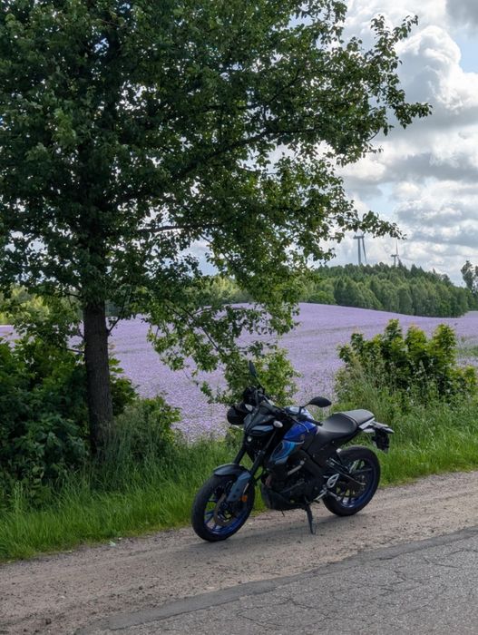 Yamaha MT 125. Na kat.B