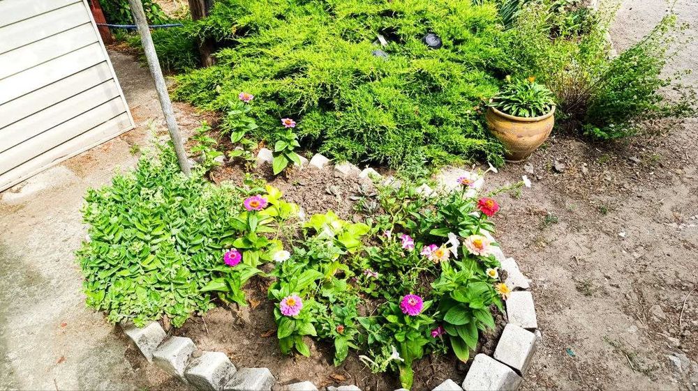 Продам дом в Подгородном с отличным участком