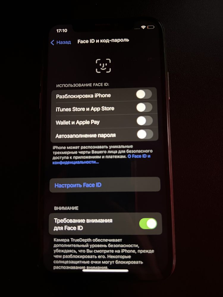 Iphone X 256 GB