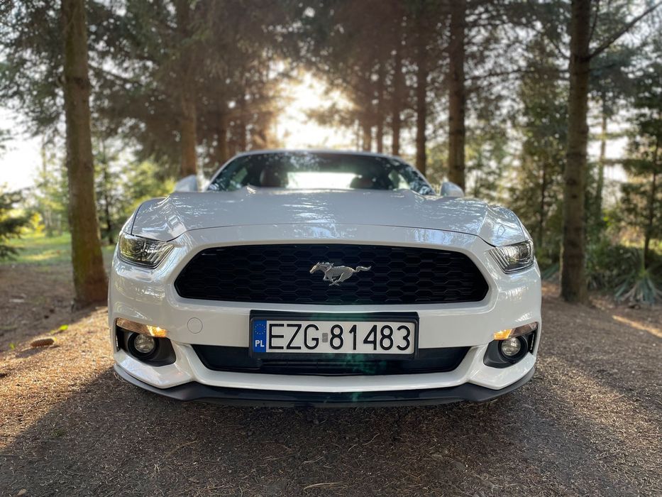 Ford Mustang Pierwszy właściciel