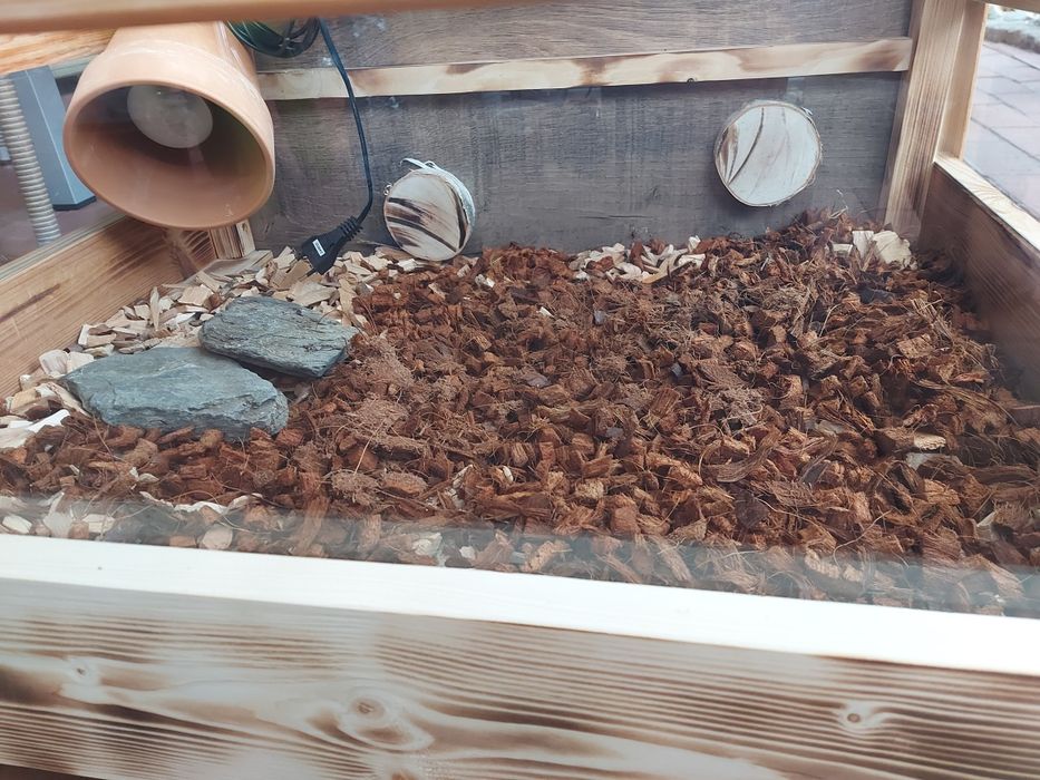 Terrarium rzemieślnicze żółw lądowy gekon lamparci