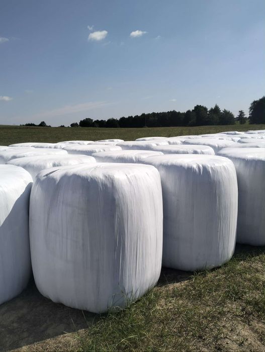 Sprzedam Baloty z sianokiszonki z 2025r.