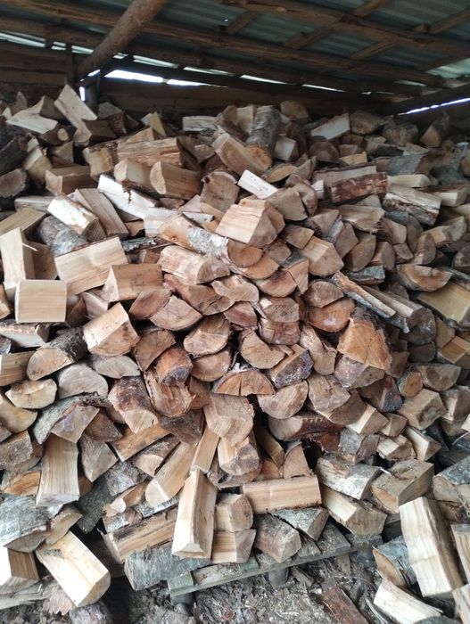 Suche Drewno opałowe sosna. buk.brzoza olcha