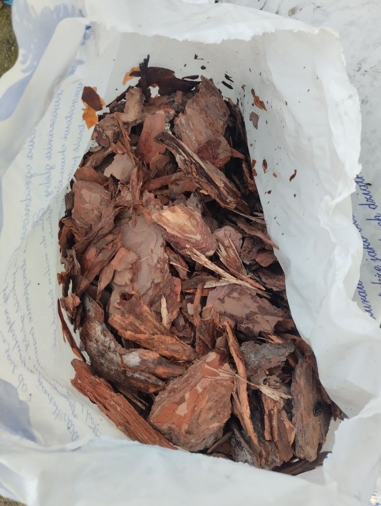 Kora sosnowa 60 litrów Dostawa
