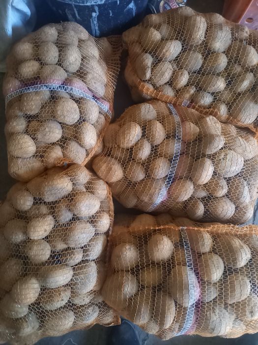 Ziemniaki Żółte Soraya Jurek