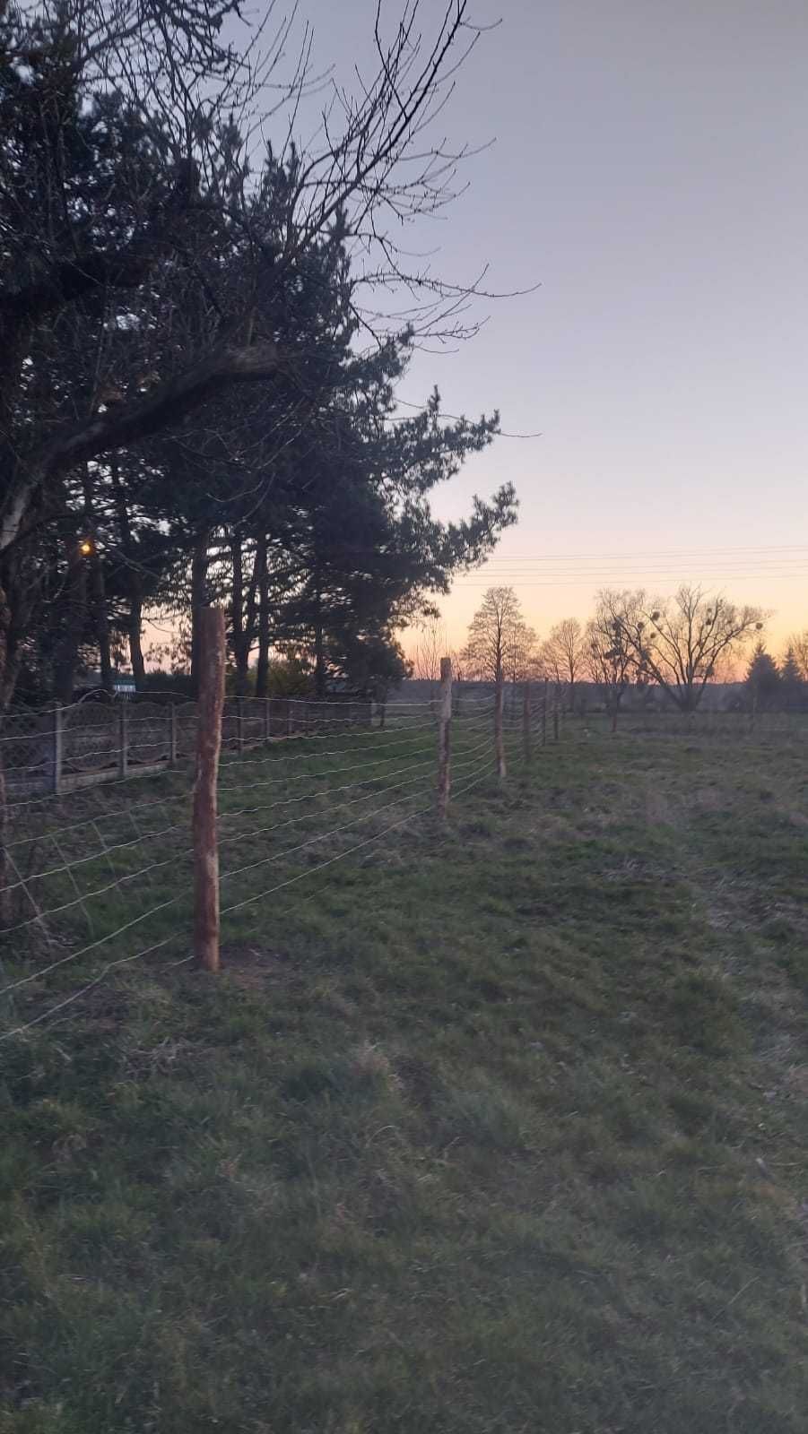 Działka rolno- budowlana Czatkowice