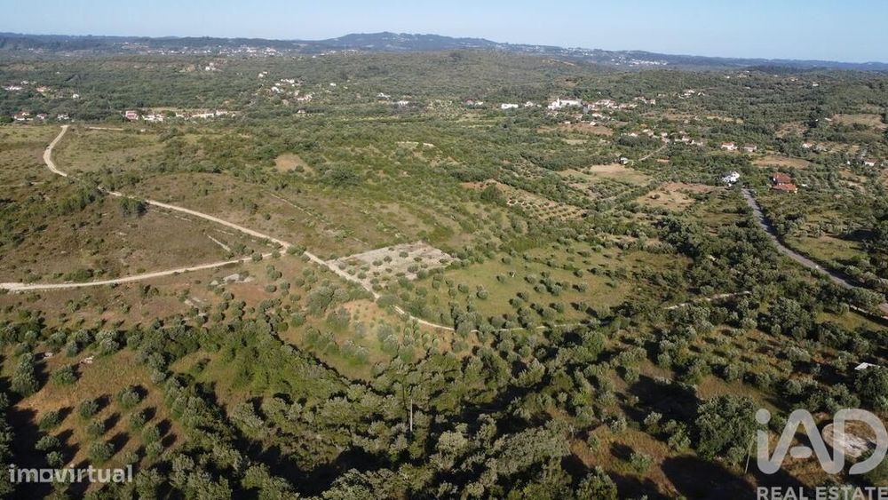 Terreno em Chãos de 4800,00 m2