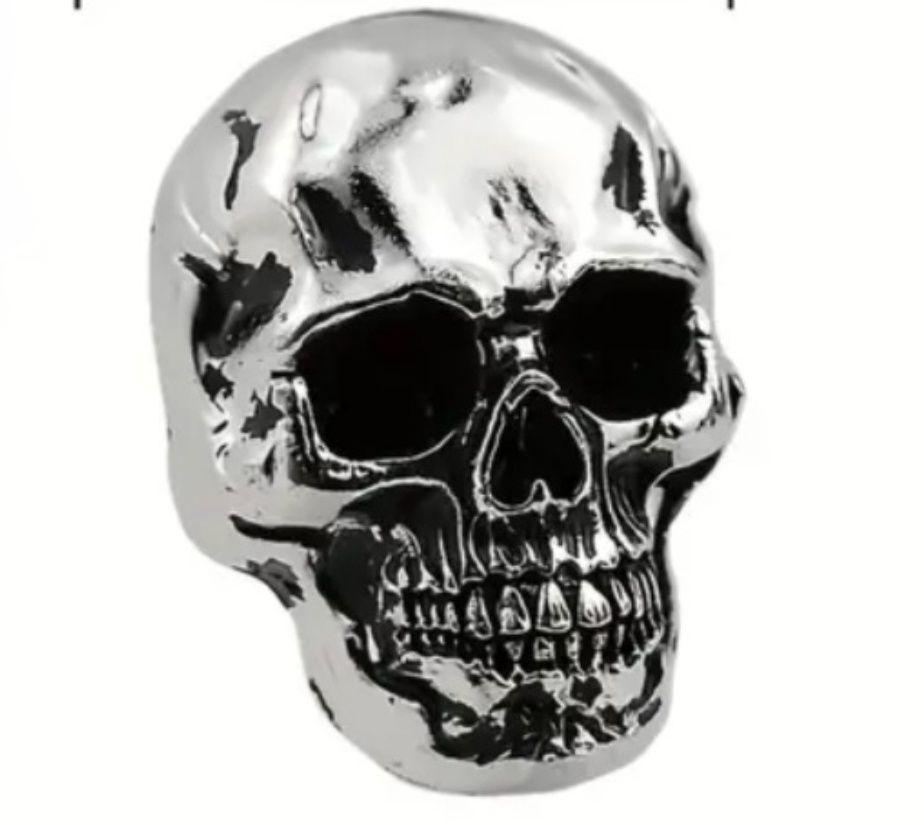 Czacha czaszka skull