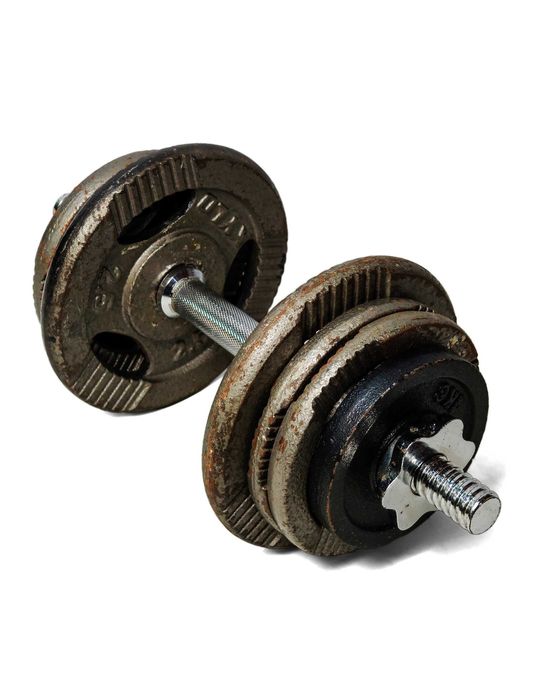 Zestaw hantli żeliwnych 12 kg