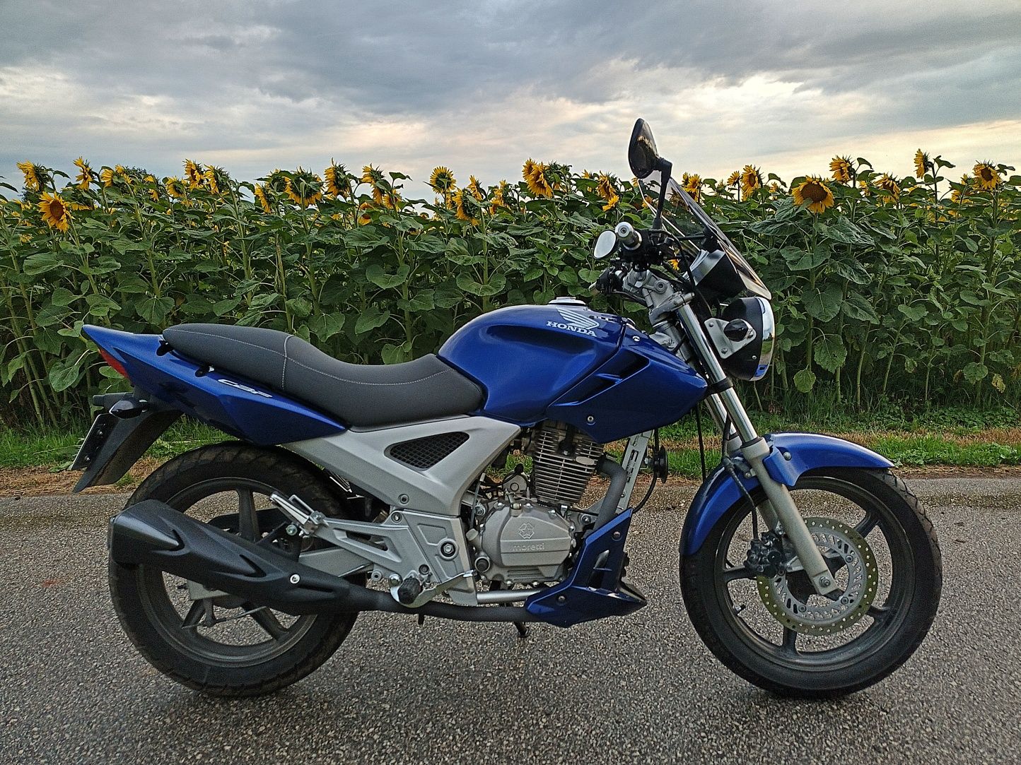 Honda cbf250 twister cbx250 do jazdy  jak ybr250 gw250 Krajowy kat A2