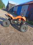 Quad Bashan 250 cm