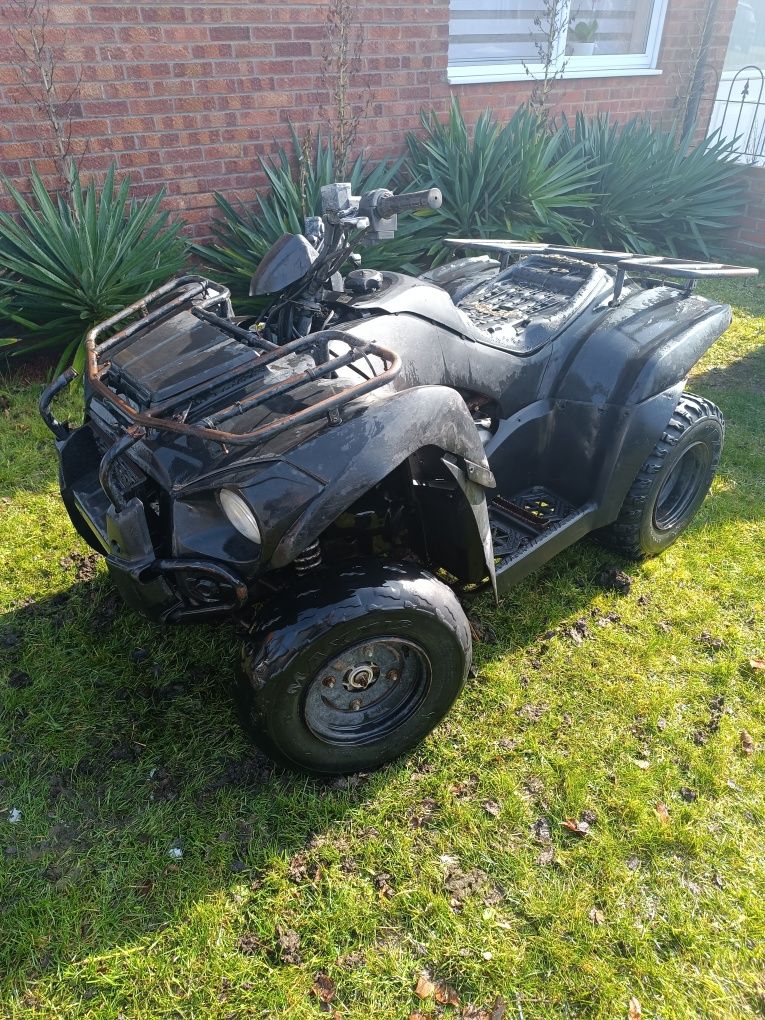 Kawasaki 300 Bruce Force 2019