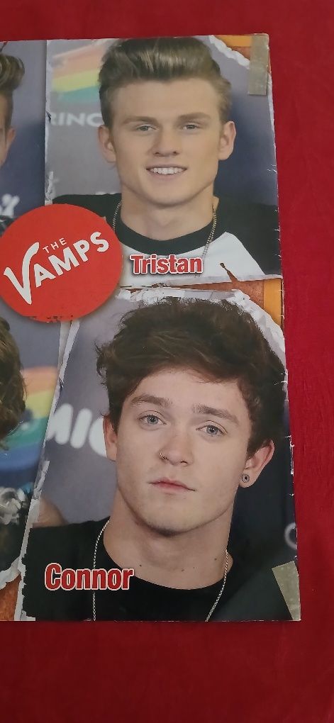 Poster The Vamps/Little Mix